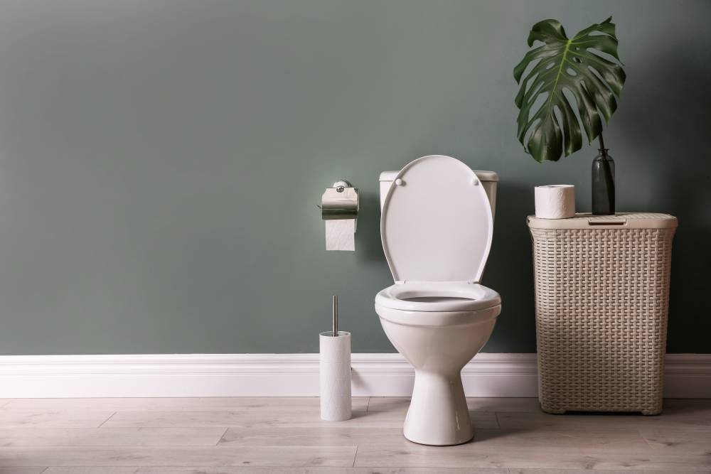 toilettes près de Vannes